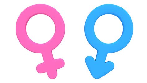 love and gender signs equality background stock footage video 3629096 shutterstock