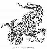 Capricorn Zodiac Coloring Zentangle Geometric Vector Doodle Pattern Ethnic Tangle Zen Astrology Illustration Horoscope Drawn Floral Hand Symbol Designlooter Stock sketch template