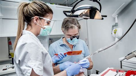 kwart nederlanders niet naar tandarts sinds  pandemie rtl nieuws