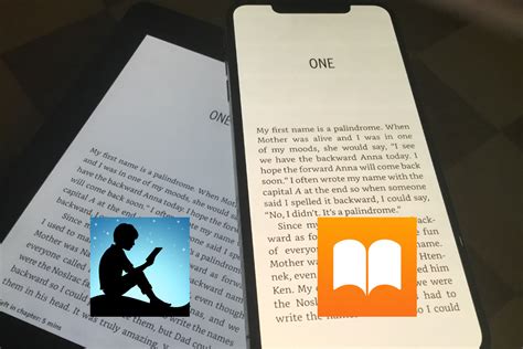 amazon kindle  iphone xs max choosing    book reader