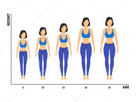 height  age measurement  growth  girl  woman vector stock