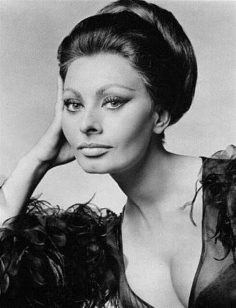 Sophia Loren Actress Nude Repicsx Hot Sex Picture