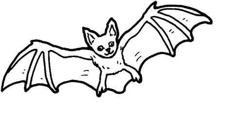 bat coloring pages kidsuki