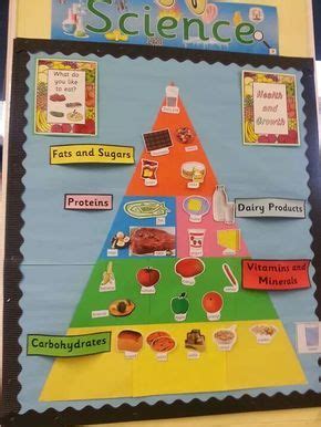 pin  sonia sharma  food pyramid food pyramid preschool food
