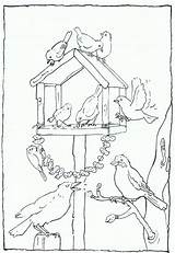 Feeder Vogels Voeren Tuin Vogel Parel Kiezen Designlooter Downloaden Uitprinten sketch template