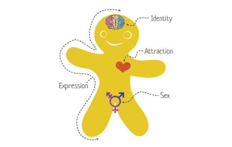 Sexual Orientation And Gender Identity Operations