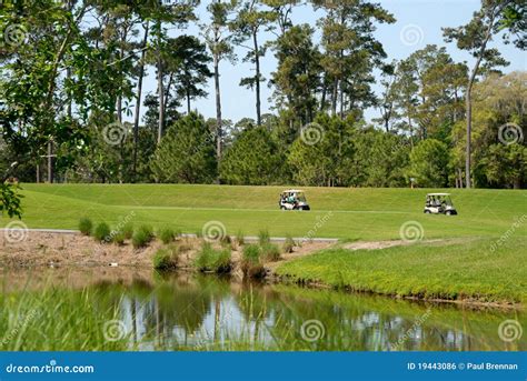 de karren van het golf op golfcursus stock foto image  vijver achtergrond