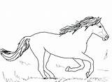 Horse Coloring Pages Cute Color Print Printable Getcolorings Animal Coloringfolder sketch template