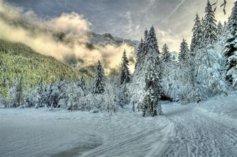 foto hdr weg natur winter schnee waelder wolke baeume jahreszeiten
