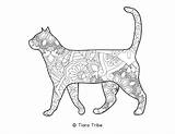 Mandala Coloring Animal Cat Pages sketch template