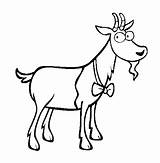 Colorat Capra Desene Goat Planse Goats Cabras Animale Domestice Capre Imagini Fise Iezi Educative Trafic sketch template