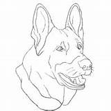 Surfnetkids Coloring Breed Dog Previous Animals sketch template