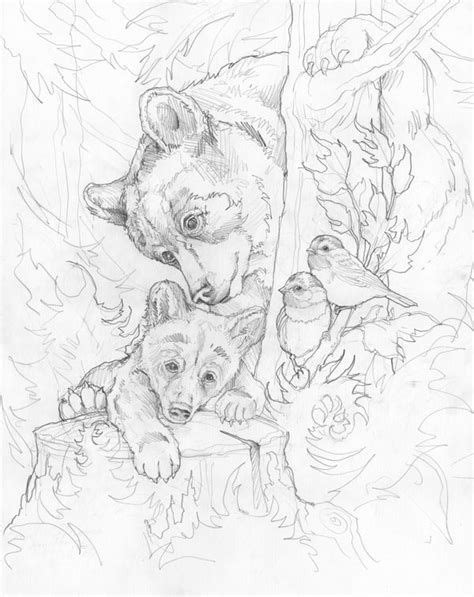 image result   jody bergsma coloring pages animal coloring