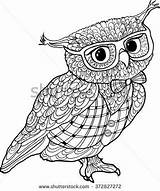 Owl перейти sketch template