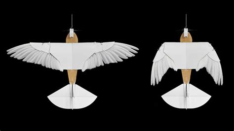 pigeonbot drone  bird  feathered wings  fly robb report