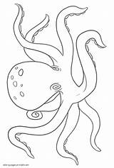 Coloring Pages Sea Animals Octopus Mollusk Printable sketch template