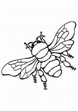 Bumblebee Cricut Bee sketch template