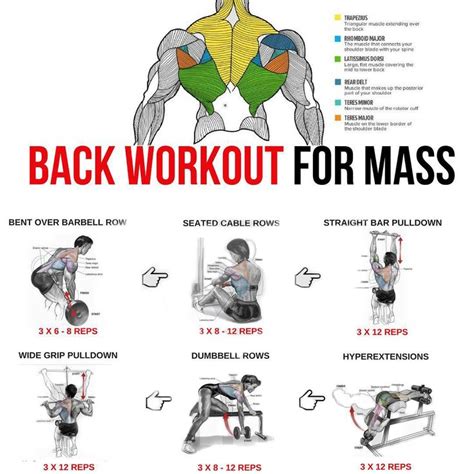 Pin By Irina On Sport And Exercise Back Workout For Mass Back