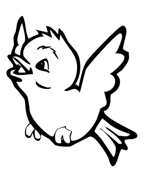 bird coloring pages freely downloadable educative printable detskie