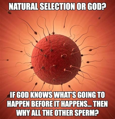 1346 best atheist and proud images on pinterest truths anti