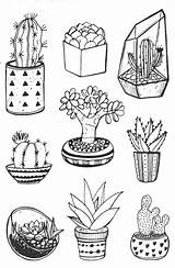 Cactus Coloring Pages Succulents Print Color Colouring Easy Adult Cacti Flowers Choose Board Wonder sketch template