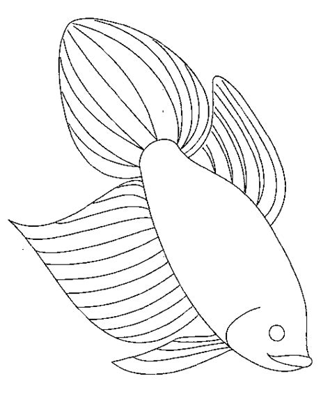 fish coloring pages fish coloring page coloring pages colouring pages