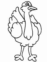 Ostrich Coloring Pages Animals Kids Color Drawing Clipart Animal Cliparts Baby Printable Print Letter Use Presentations Back Projects Websites Reports sketch template