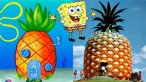 Spongebob Squarepants Characters In Real Life Youtube