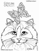 Coloring Calico Cat Pages Kittens Color Curious Activity Adult 1st Grade Printable Cats Teachervision Butterfly Visit Fun sketch template