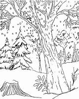 Paisaje Animales Bosque Invierno Templado Laminas Nieve Azcolorear Grandes Adultos Bosques Visitar sketch template