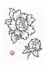 Peony Japanese Tattoo Flower Drawing Peonies Drawings Deviantart Outline Flowers Tattoos Sketch Water Designs Google Lily Lotus Getdrawings Closed Styles sketch template