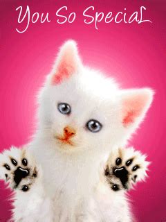 special pictures   images  facebook