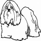 Apso Lhasa sketch template
