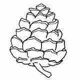 Pine Cone Coloring Pages Pinecone Clipart Cliparts Getcolorings Vario Getdrawings Library Printable Color sketch template