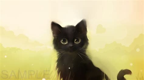 black cat anime wallpaper wallpapersafari