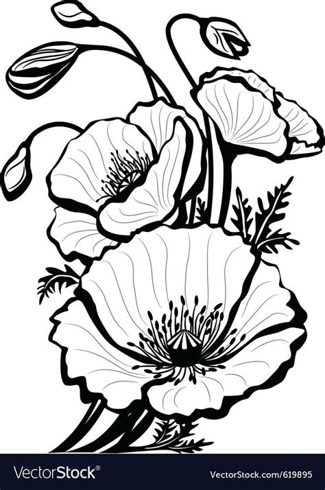 lovely poppy outline bw poppy flower drawing poppy drawing flower