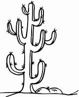 Cactus Coloring Kids Pages Saguaro Colouring Sheet Clipart Drawing Line Cliparts Printable Getdrawings Color Easy Simple Barrel Library Getcolorings Clip sketch template