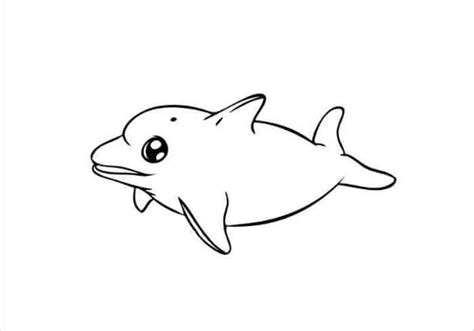 cute baby cute dolphin coloring pages inerletboo