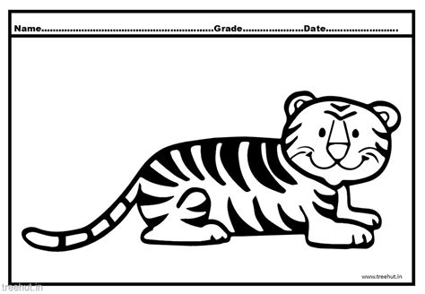 tiger  cub coloring pages  kids