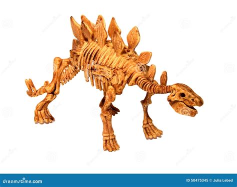 dinosour bones  dinosaur unit   printables dinosaurs