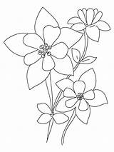 Columbine Coloring Pages Flowers Flower Recommended Template sketch template