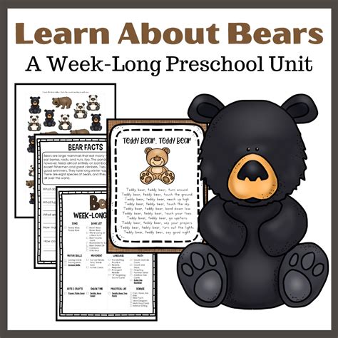lets learn  bears preschool unit study