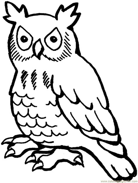 gambar owl coloring page cartoon  printable pages  mewarnai