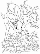 Bambi Wonder sketch template