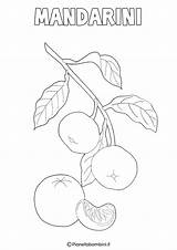 Colorare Disegni Frutta Invernale Mandarini Pianetabambini Schede Limone sketch template