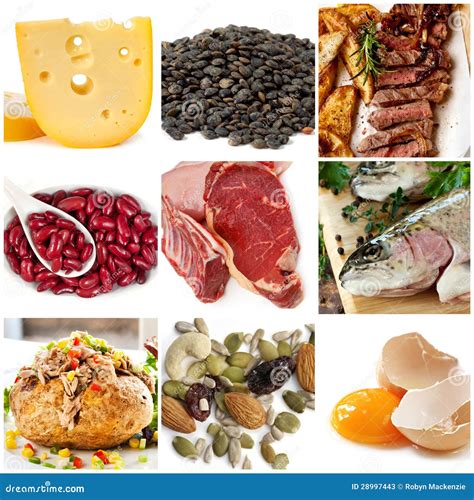 food sources  protein stock  image