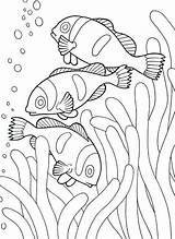 Sea Coloring Pages Ocean Animals Animal Creatures Fish Choose Board Kids sketch template