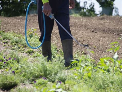 グリホサート系除草剤 人体に対する危険性は？発がん性物質って本当？ 農家web