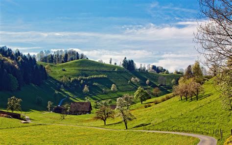 hills landscape trees wallpaper hd nature  wallpapers images  background wallpapers den