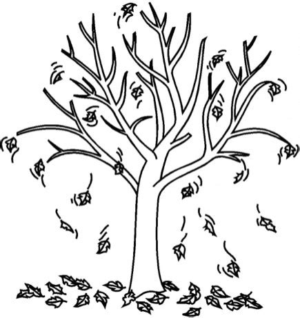 printable tree coloring pages everfreecoloringcom